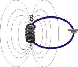 Circuito elettrico e linee di forza campo magnetico